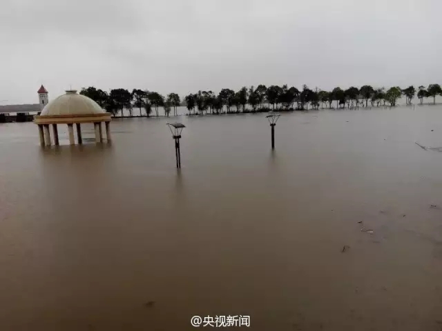 烟雨故人_1