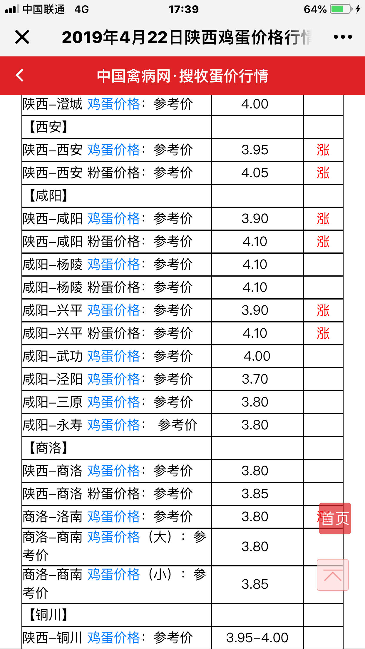 放飞的风筝_3