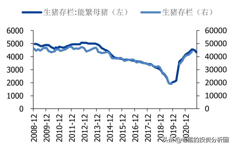 温氏集团股价动态：最新市场资讯一览