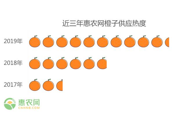 新鲜橘子市场行情：实时价格最新报价一览