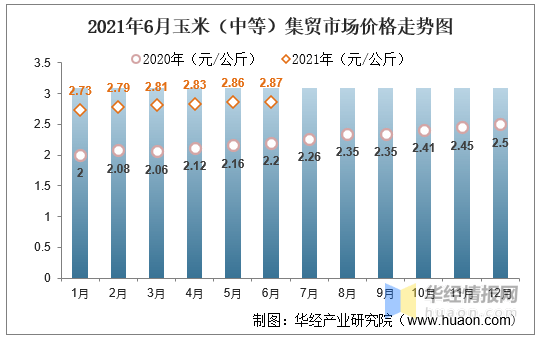 玉米市场最新动态解析